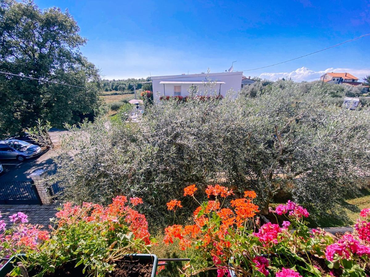 Guest House Sosi Umag Zewnętrze zdjęcie