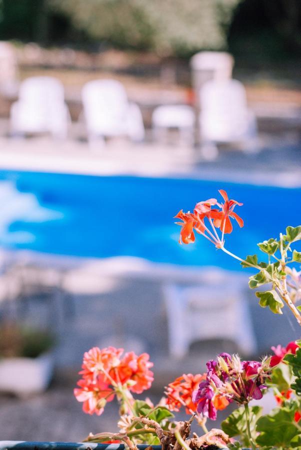 Guest House Sosi Umag Zewnętrze zdjęcie
